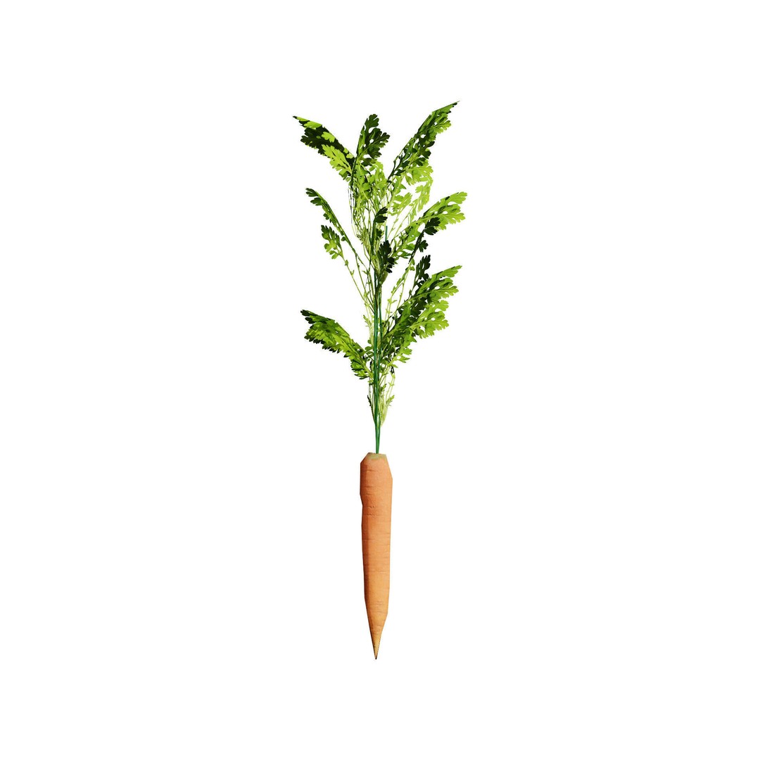 Vegetable Plant 3D Model – Low Poly Game Ready Asset, FBX, PBR - View 9