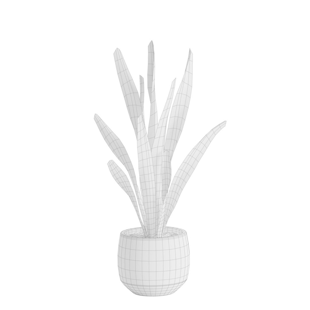 Indoor Plants 3D Model – Exotic Potted Plants Pack, FBX, Blender