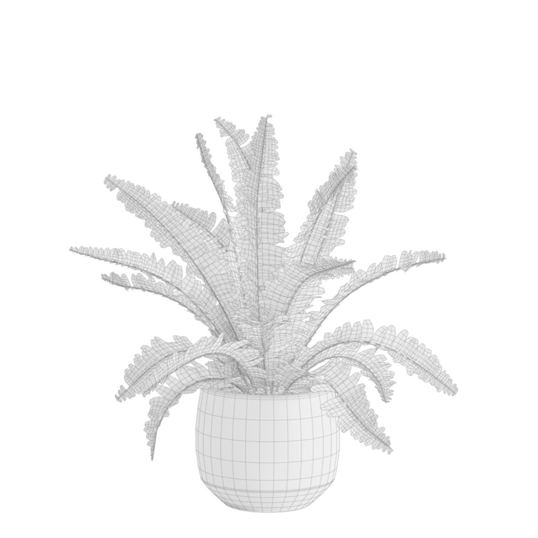 Indoor Plants 3D Model – Exotic Potted Plants Pack, FBX, Blender - View 10