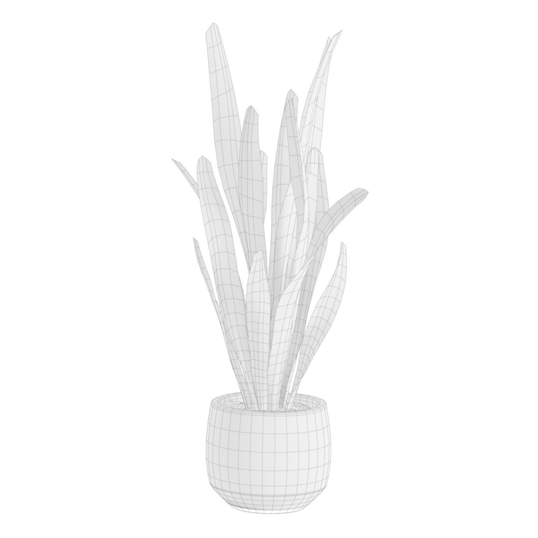 Indoor Plants 3D Model – Exotic Potted Plants Pack, FBX, Blender - View 12
