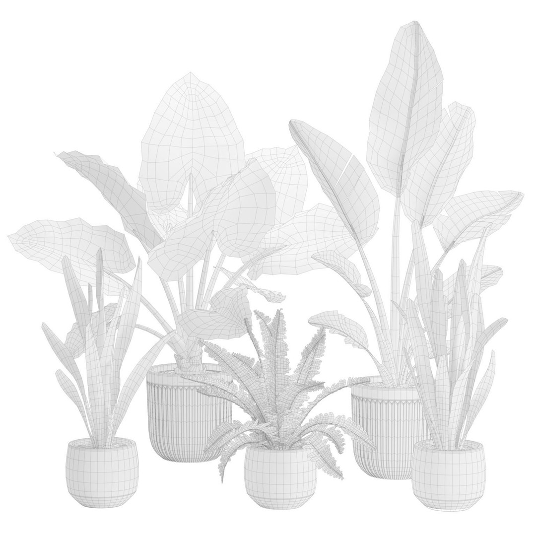 Indoor Plants 3D Model – Exotic Potted Plants Pack, FBX, Blender - View 4