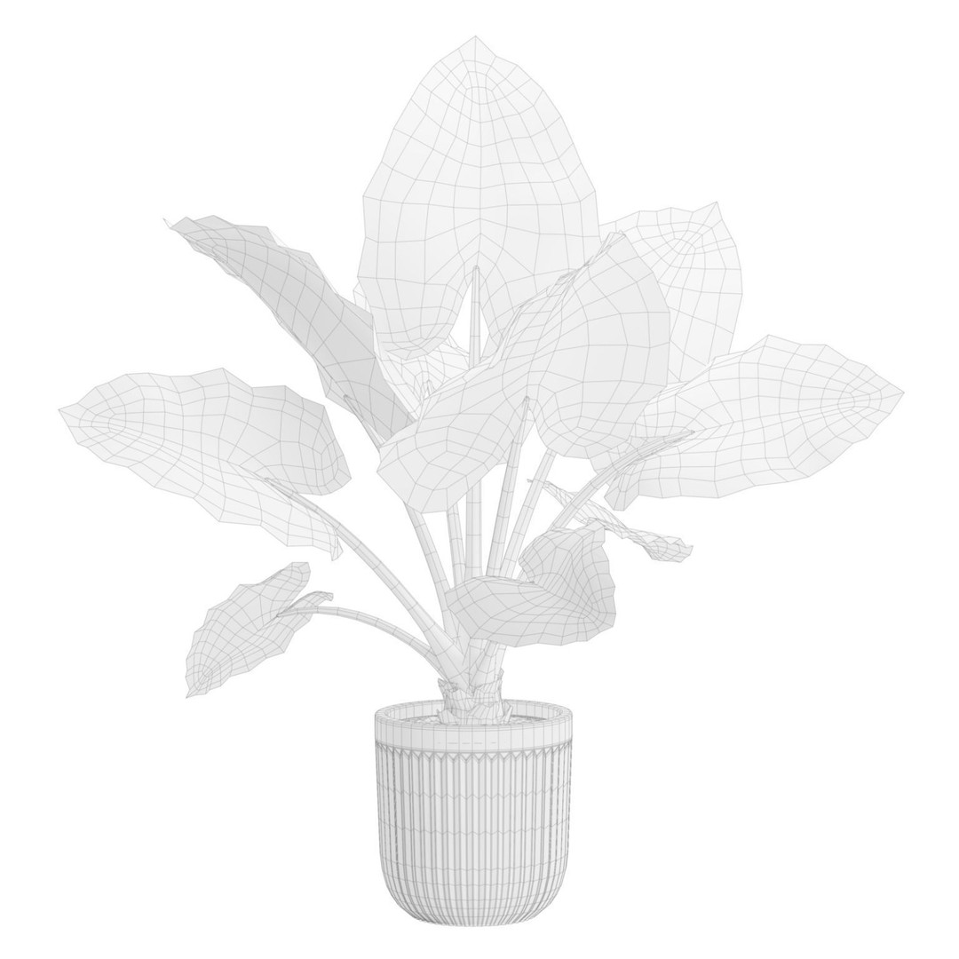 Indoor Plants 3D Model – Exotic Potted Plants Pack, FBX, Blender - View 6