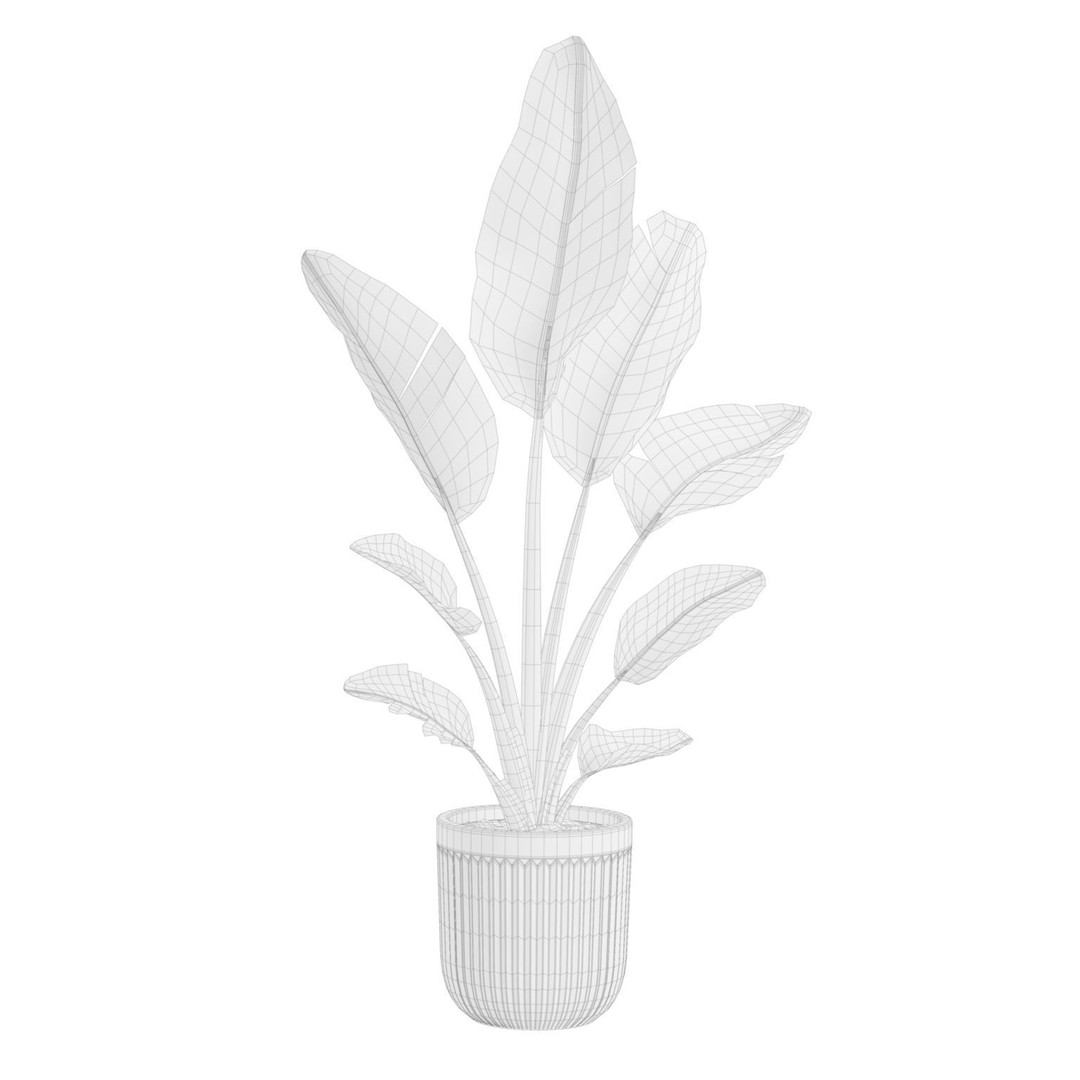 Indoor Plants 3D Model – Exotic Potted Plants Pack, FBX, Blender - View 8