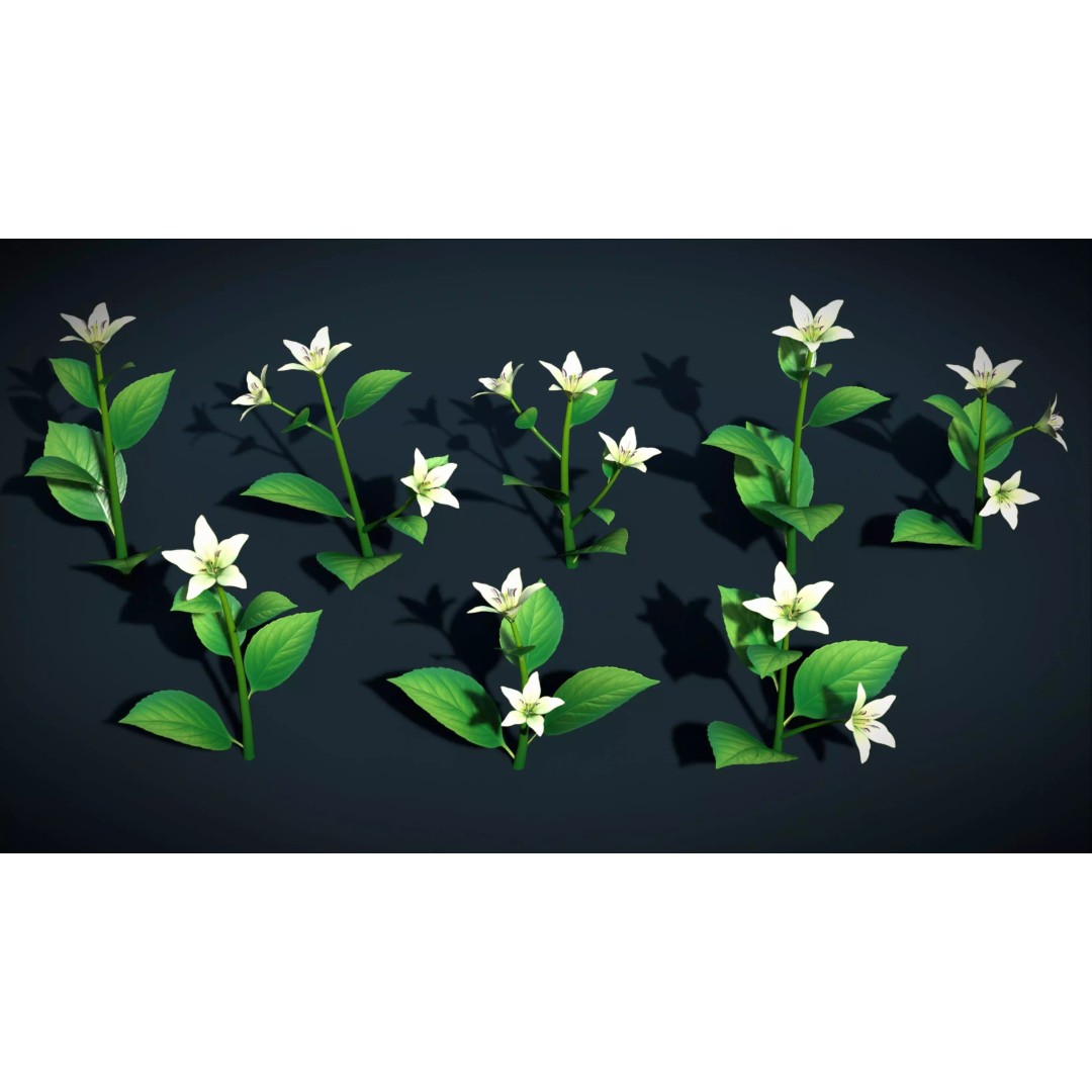 Sylora Bloomscape 3D Model – Low Poly Flower Pack, FBX & PBR Textures - View 7