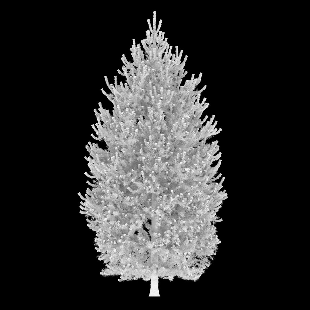 Pinus Nigra 3D Model – High Poly Conifer Tree, FBX & More