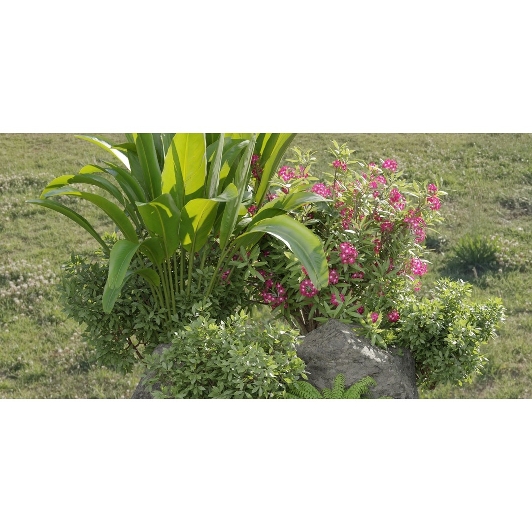 Outdoor Garden Plants Collection 3D Model – Blender, PBR Textures, Game Ready - View 7