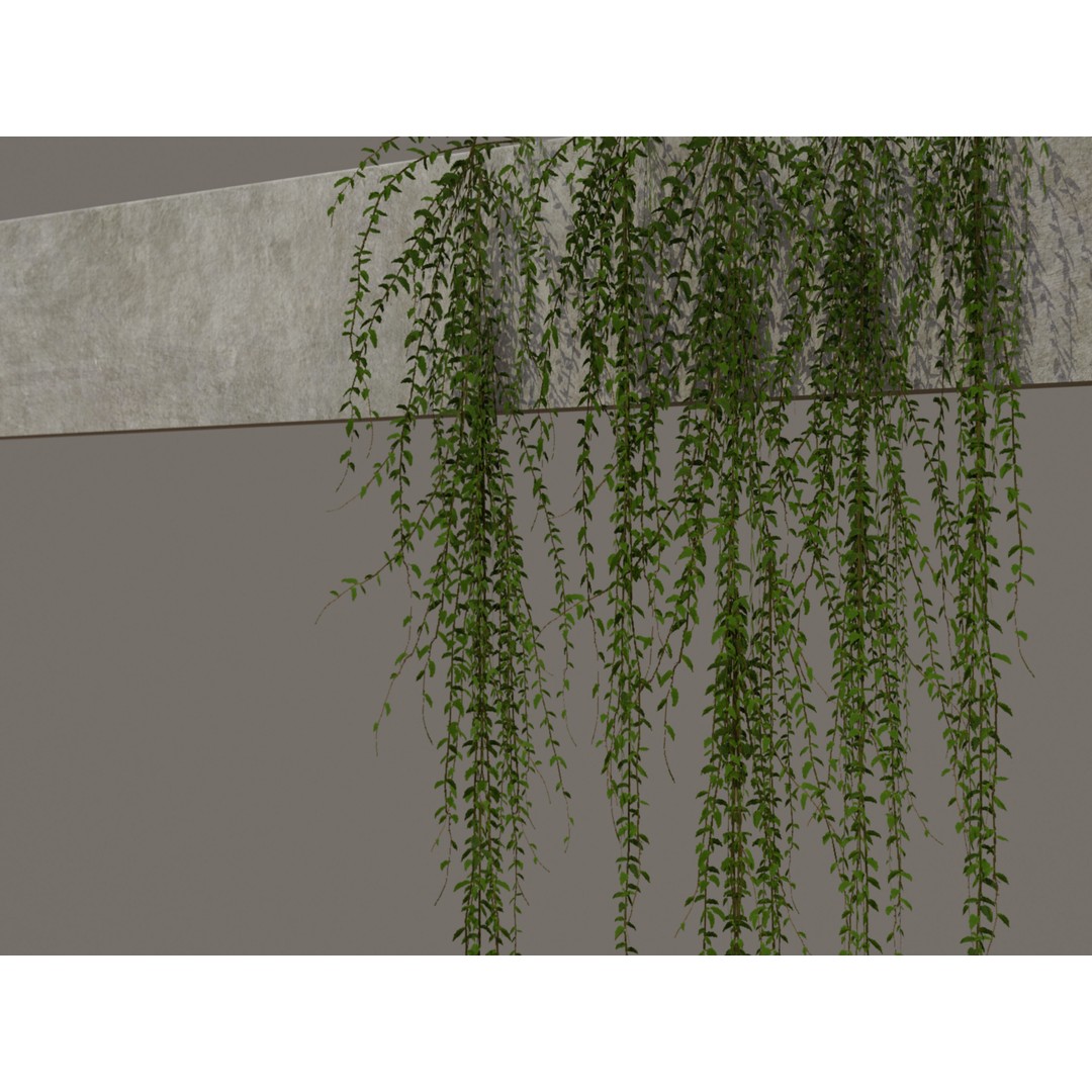 Curtain Creeper Plants 3D Model – Low Poly Vegetation for Games, FBX - View 3