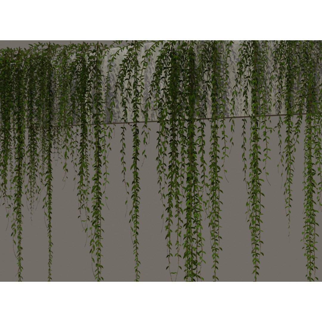 Curtain Creeper Plants 3D Model – Low Poly Vegetation for Games, FBX - View 4
