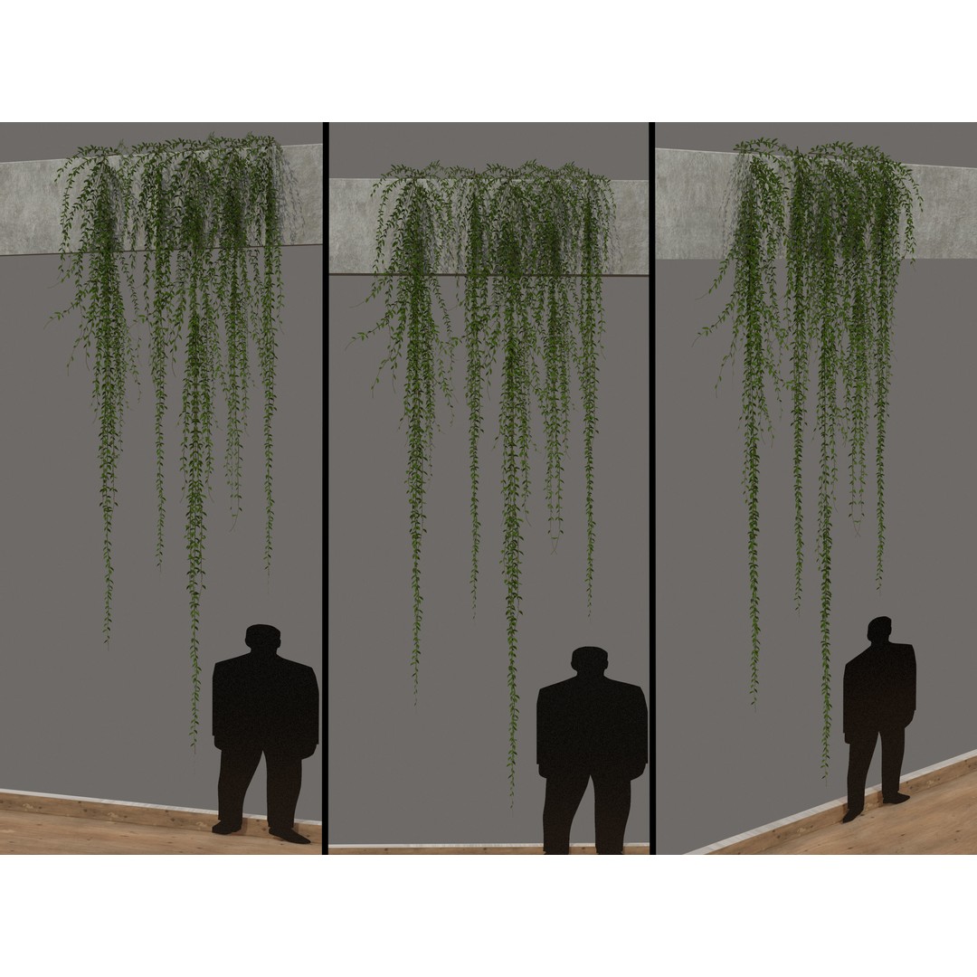 Curtain Creeper Plants 3D Model – Low Poly Vegetation for Games, FBX - View 5