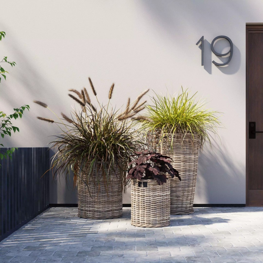 Decorative Grasses 3D Model – PBR Textured Pot Plants in Wicker Baskets