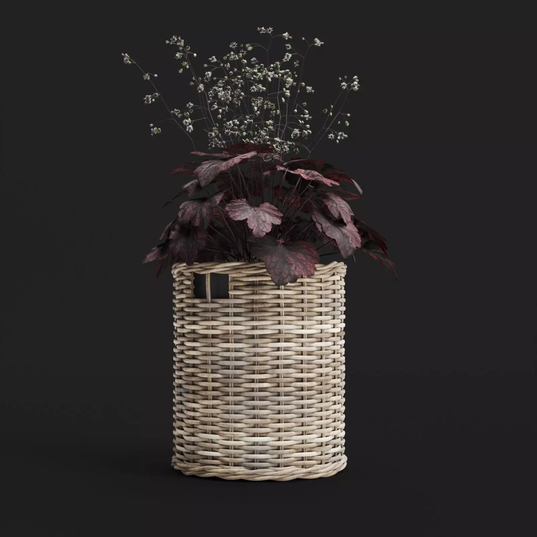 Decorative Grasses 3D Model – PBR Textured Pot Plants in Wicker Baskets - View 10