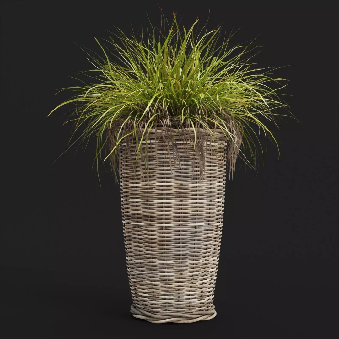 Decorative Grasses 3D Model – PBR Textured Pot Plants in Wicker Baskets - View 11