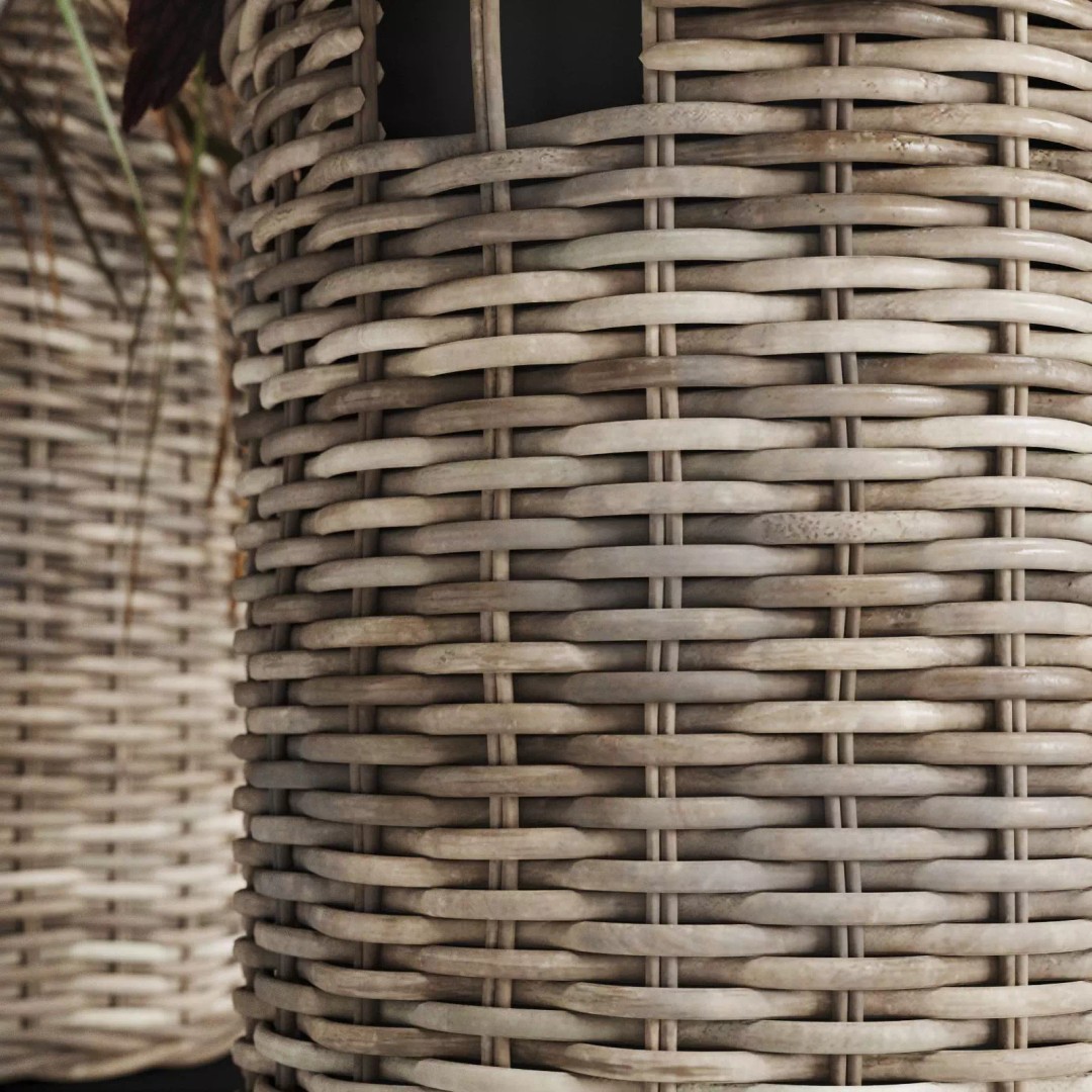 Decorative Grasses 3D Model – PBR Textured Pot Plants in Wicker Baskets - View 12