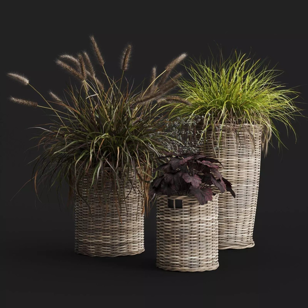 Decorative Grasses 3D Model – PBR Textured Pot Plants in Wicker Baskets - View 2