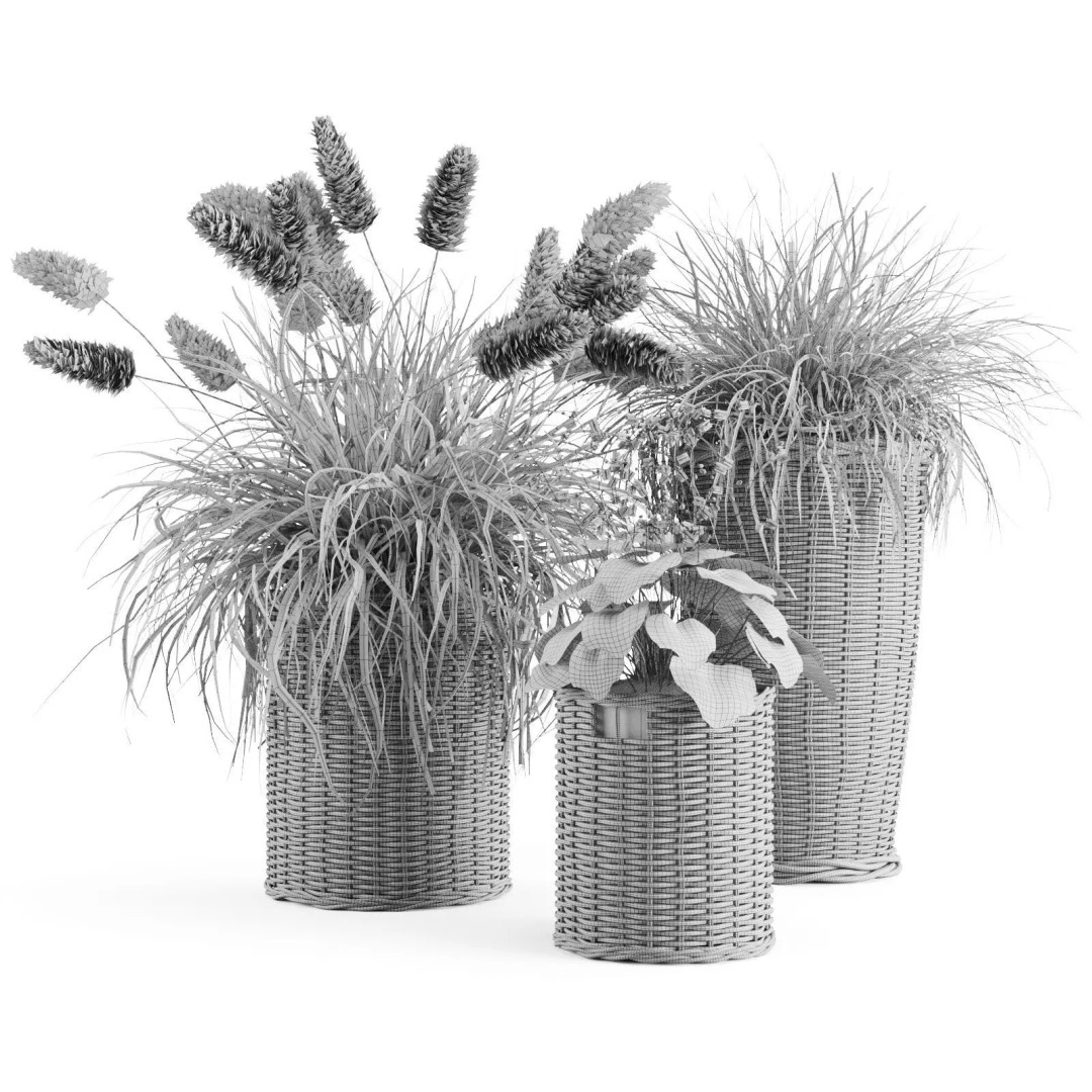 Decorative Grasses 3D Model – PBR Textured Pot Plants in Wicker Baskets - View 3