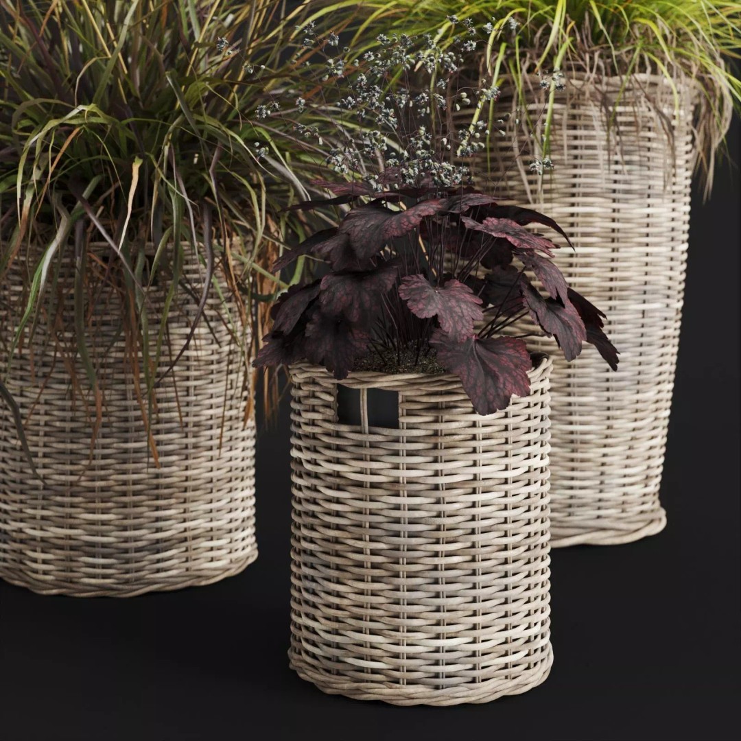 Decorative Grasses 3D Model – PBR Textured Pot Plants in Wicker Baskets - View 4