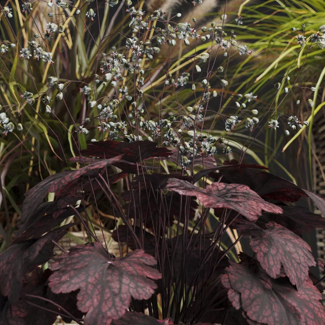 Decorative Grasses 3D Model – PBR Textured Pot Plants in Wicker Baskets - View 5
