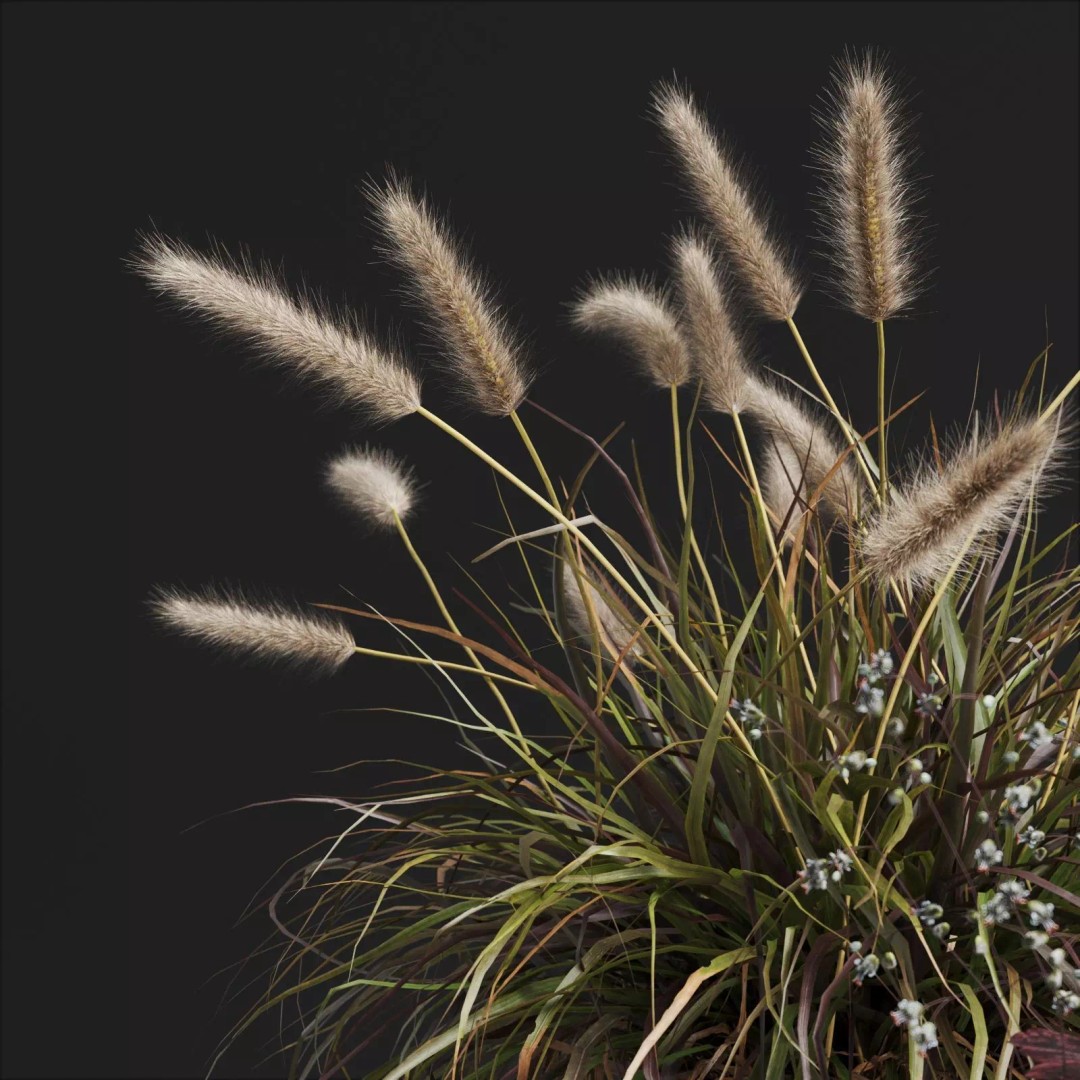 Decorative Grasses 3D Model – PBR Textured Pot Plants in Wicker Baskets - View 7