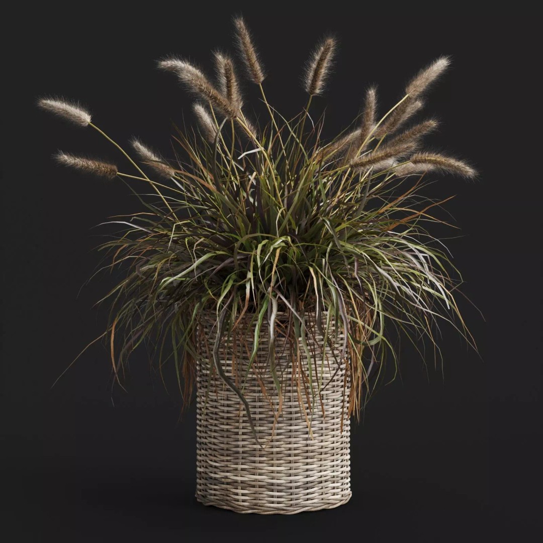 Decorative Grasses 3D Model – PBR Textured Pot Plants in Wicker Baskets - View 9