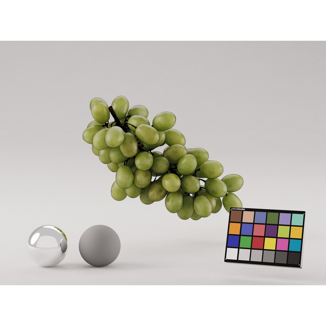 Realistic Green Grapes 3D Model – Photogrammetry Asset, FBX, OBJ, PBR - View 7