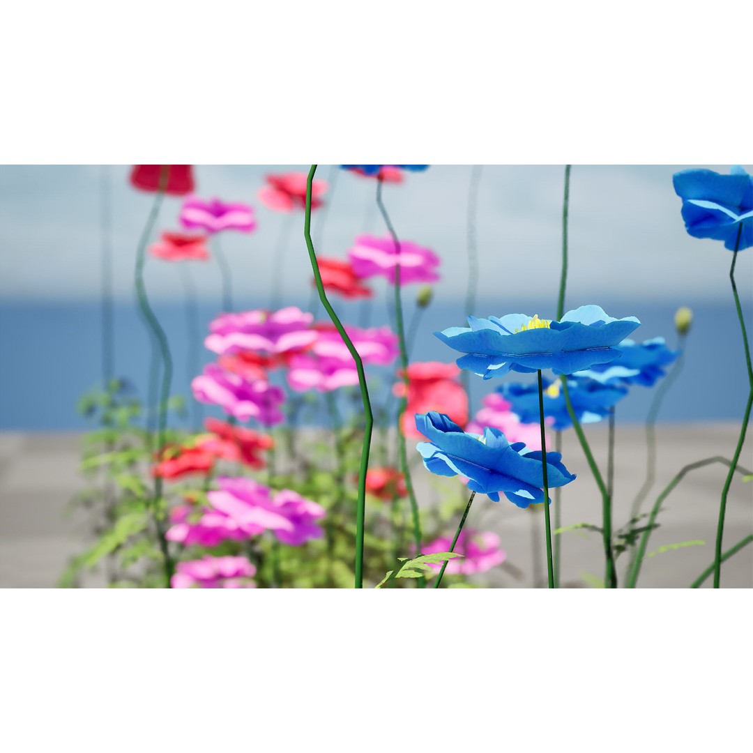 Flanders Poppy 3D Model – Low Poly Botanical Asset, FBX, PBR - View 11