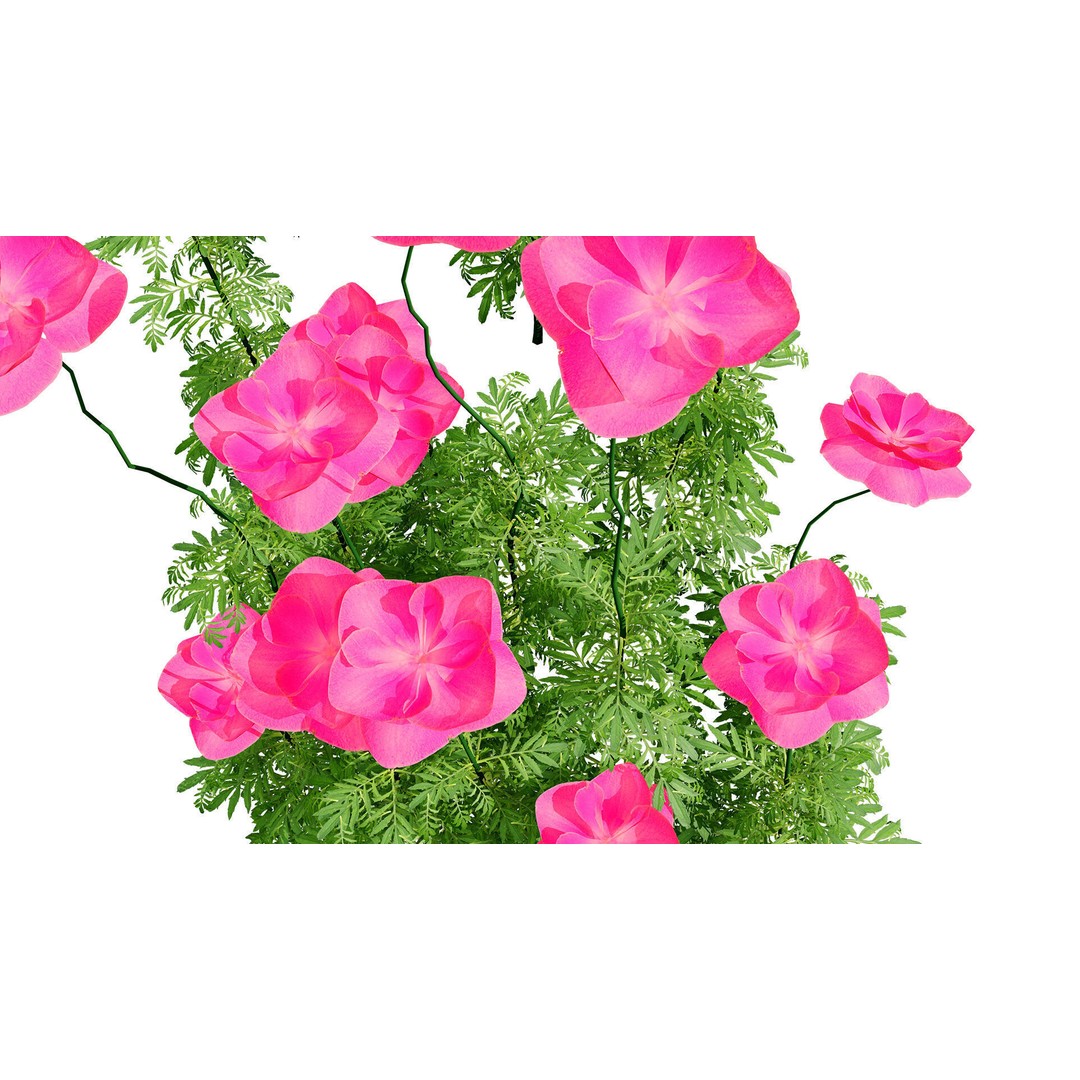 Flanders Poppy 3D Model – Low Poly Botanical Asset, FBX, PBR - View 8