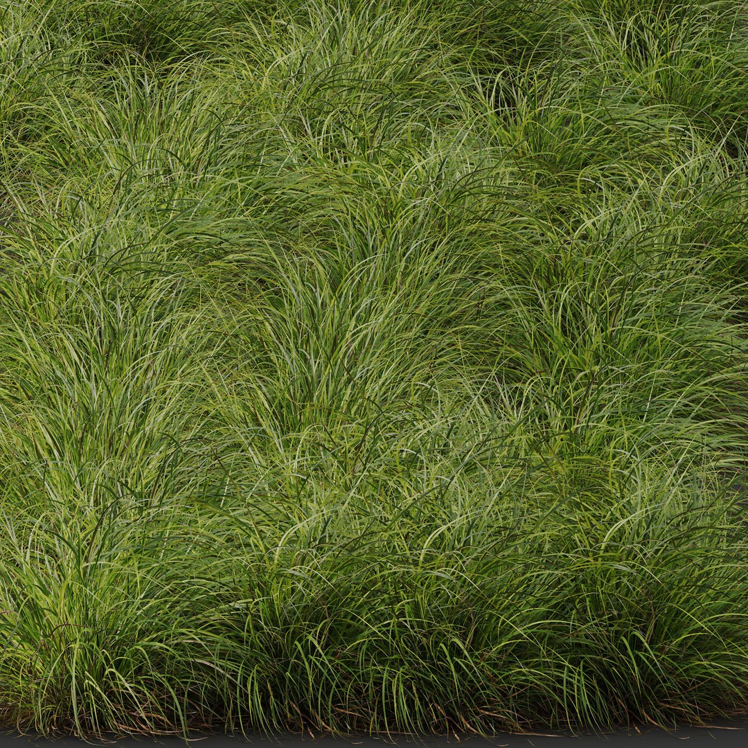 Fountain Hameln & Carex Elata 3D Model – Realistic Grass PBR Asset - View 10