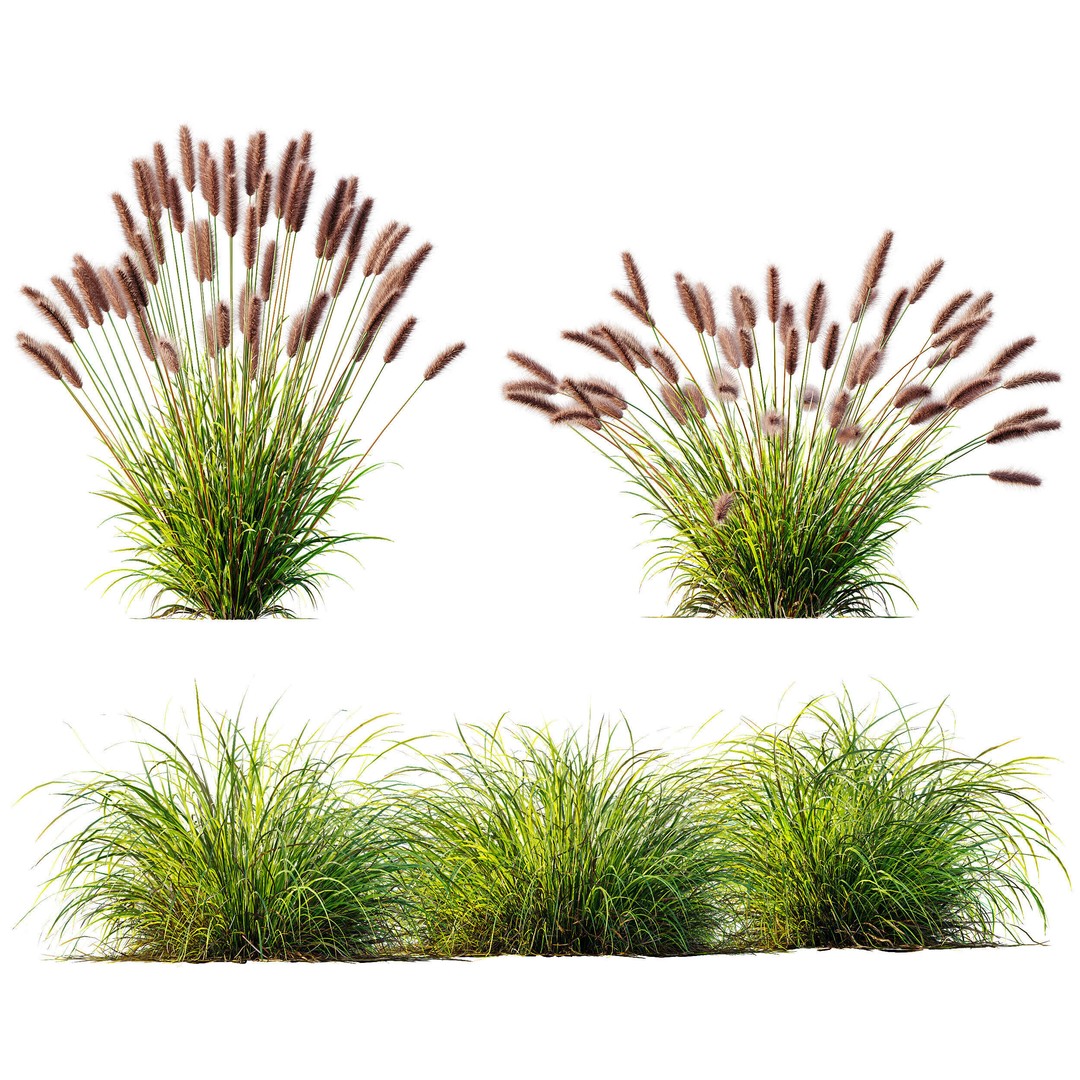 Fountain Hameln & Carex Elata 3D Model – Realistic Grass PBR Asset - View 11