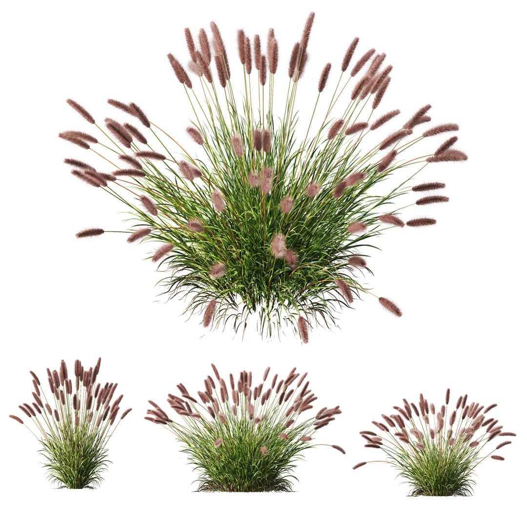 Fountain Hameln & Carex Elata 3D Model – Realistic Grass PBR Asset - View 12