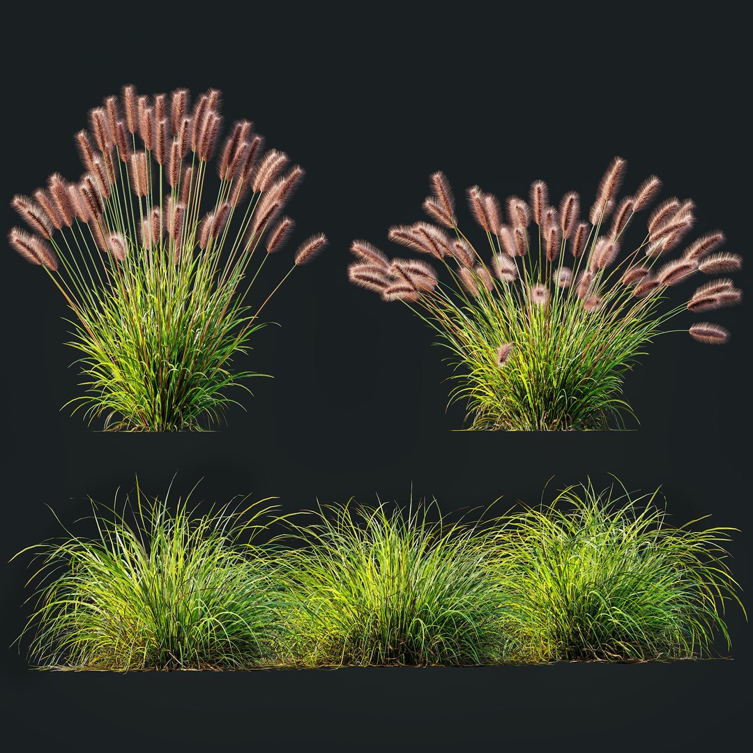 Fountain Hameln & Carex Elata 3D Model – Realistic Grass PBR Asset - View 13