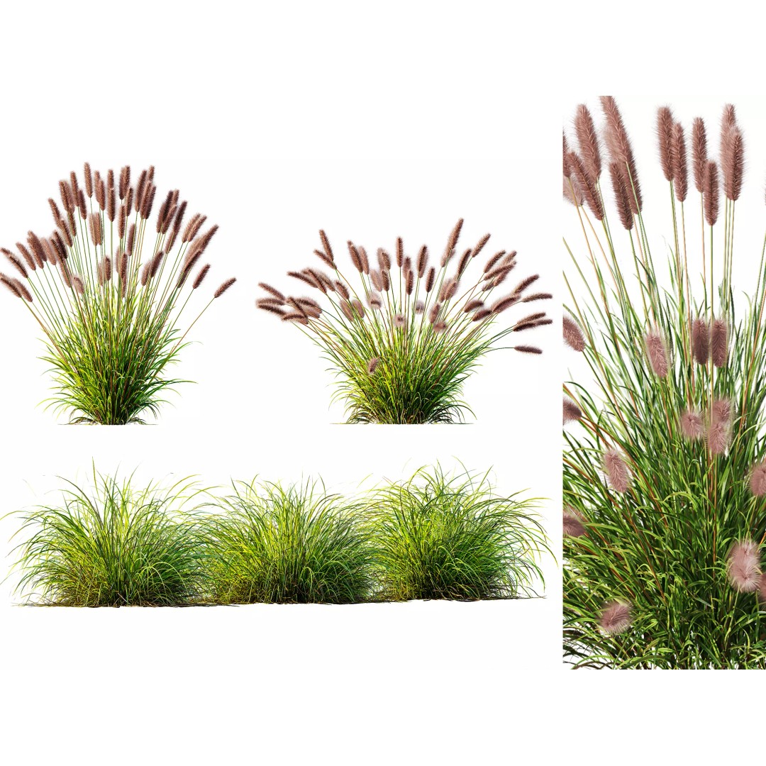 Fountain Hameln & Carex Elata 3D Model – Realistic Grass PBR Asset - View 2