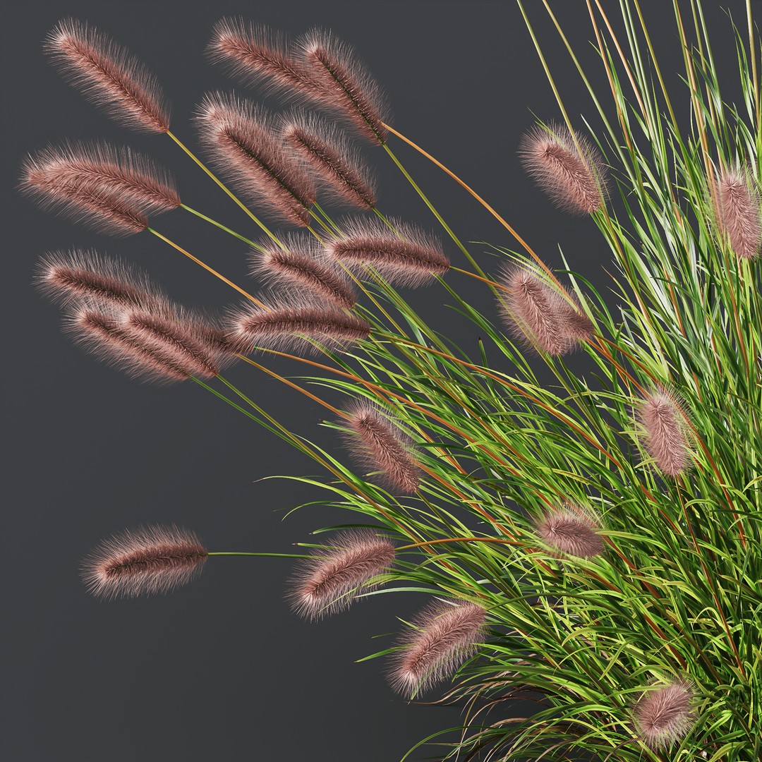 Fountain Hameln & Carex Elata 3D Model – Realistic Grass PBR Asset - View 3