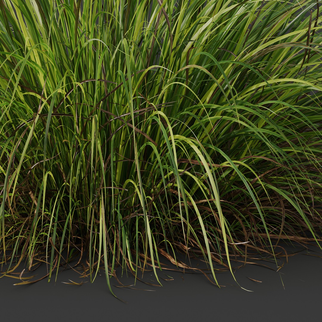Fountain Hameln & Carex Elata 3D Model – Realistic Grass PBR Asset - View 4