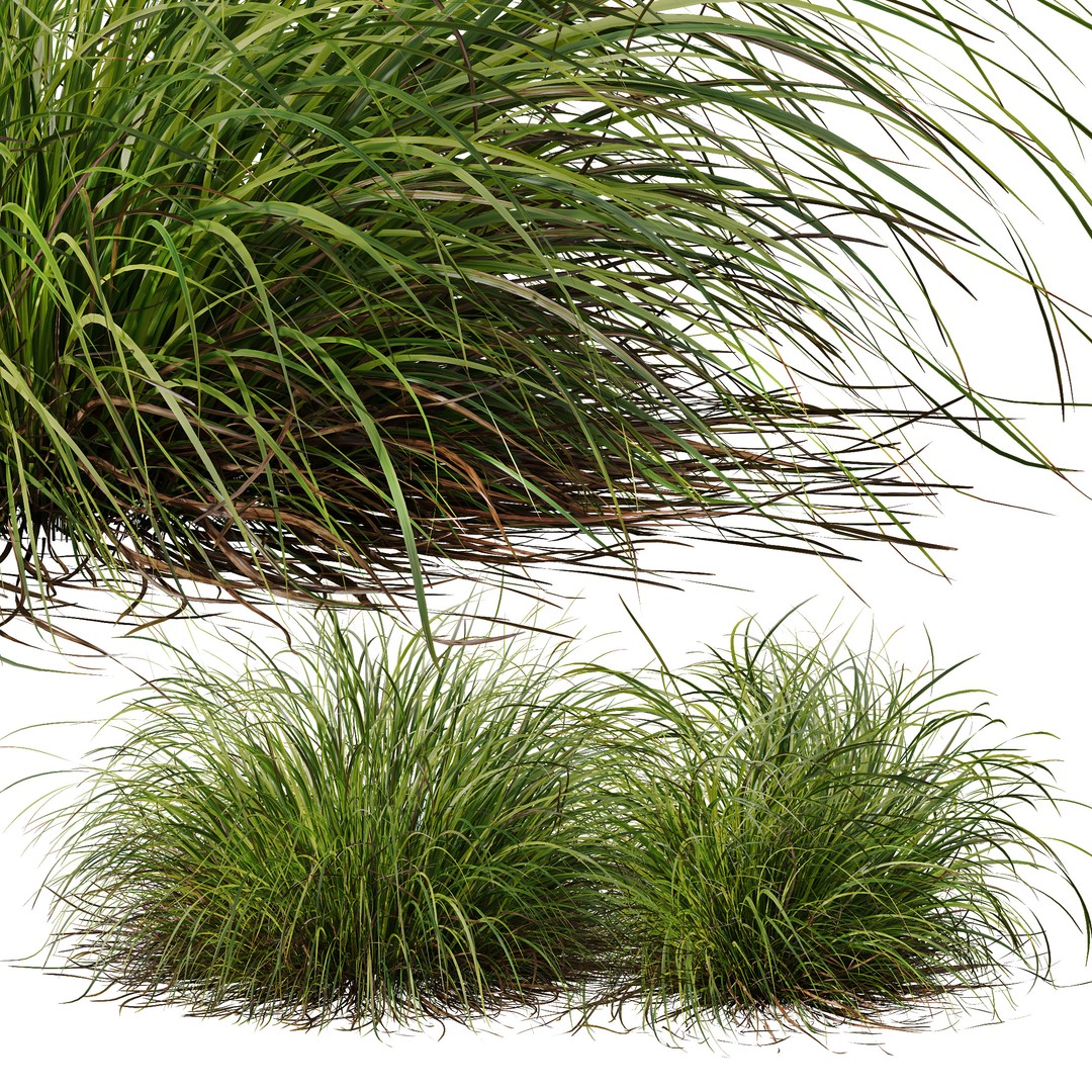 Fountain Hameln & Carex Elata 3D Model – Realistic Grass PBR Asset - View 5