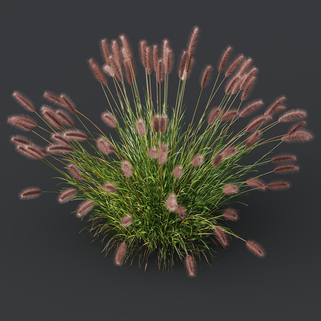 Fountain Hameln & Carex Elata 3D Model – Realistic Grass PBR Asset - View 6