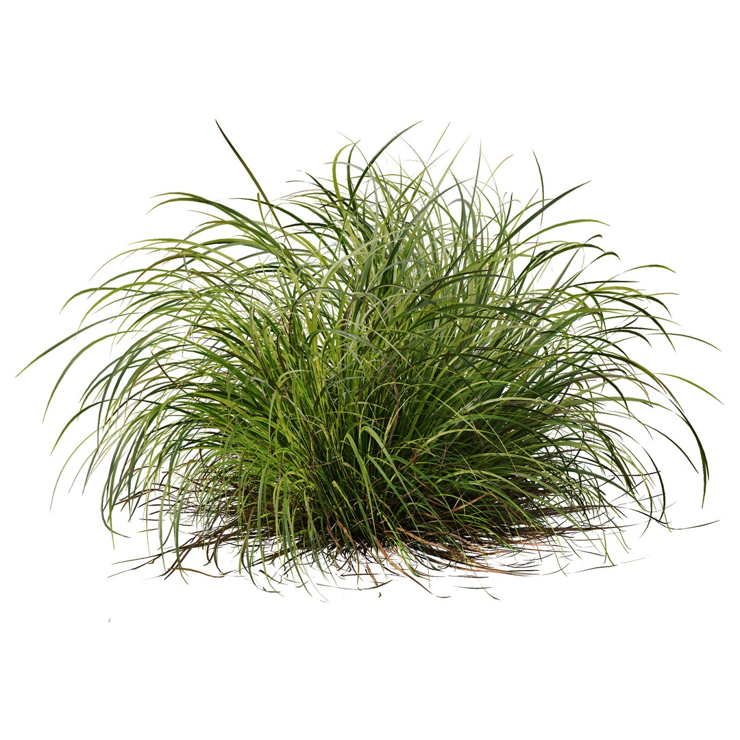 Fountain Hameln & Carex Elata 3D Model – Realistic Grass PBR Asset - View 7