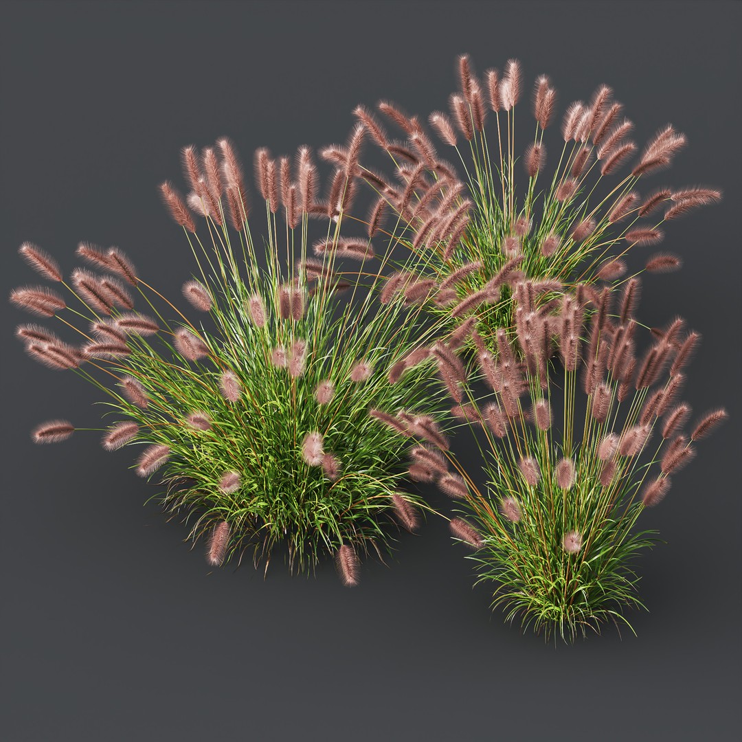Fountain Hameln & Carex Elata 3D Model – Realistic Grass PBR Asset - View 8