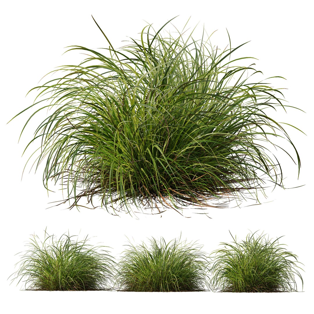 Fountain Hameln & Carex Elata 3D Model – Realistic Grass PBR Asset - View 9