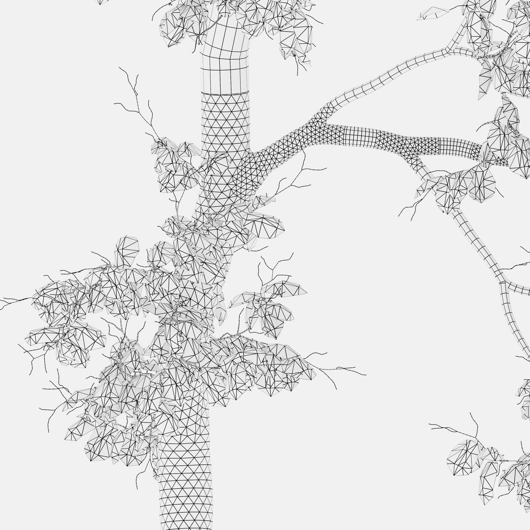 Autumn Locust Tree 3D Model – High Poly PBR Asset, FBX & OBJ