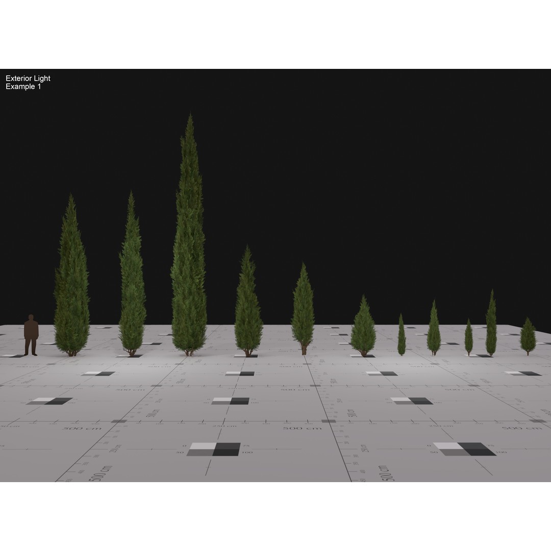 Italian Cypress 3D Model – Low Poly Game Asset, PBR, FBX, Unity - View 10