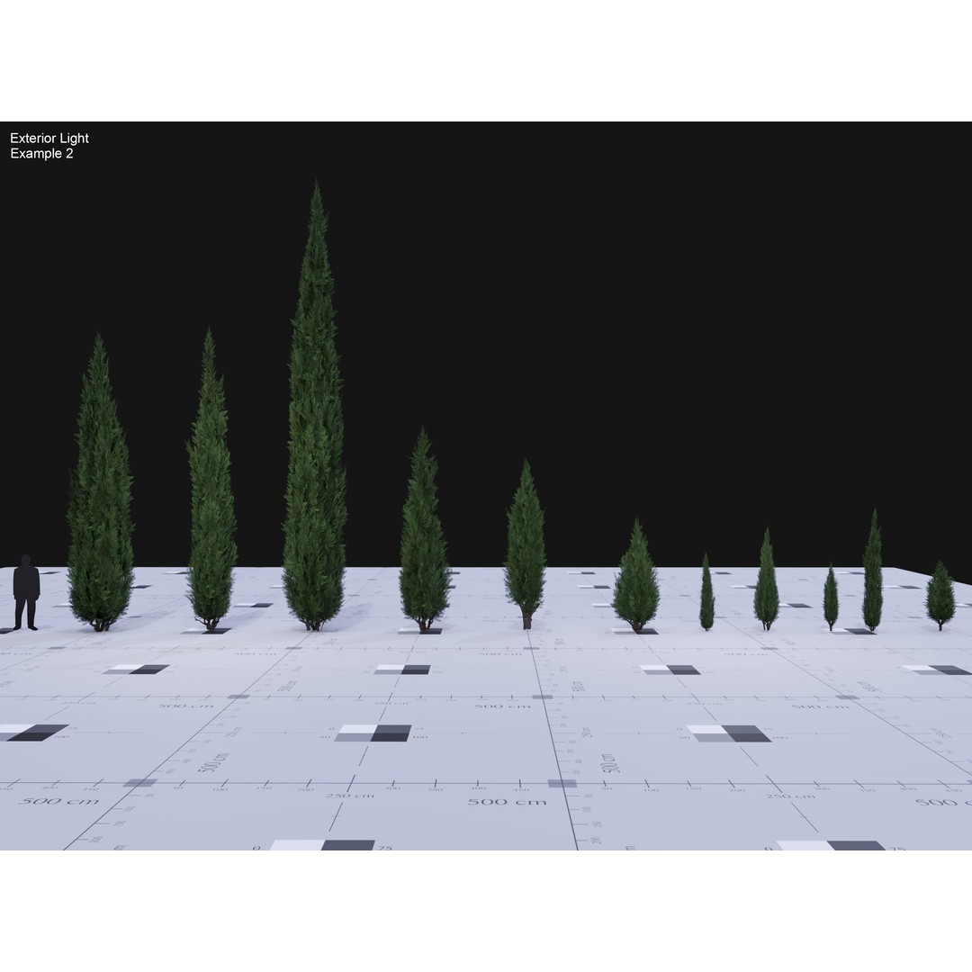 Italian Cypress 3D Model – Low Poly Game Asset, PBR, FBX, Unity - View 11
