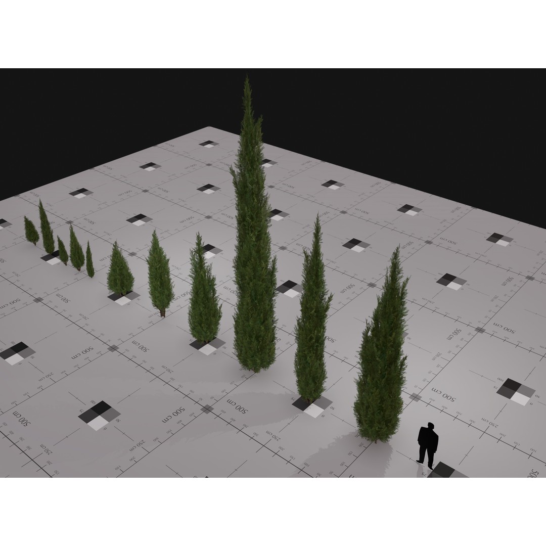 Italian Cypress 3D Model – Low Poly Game Asset, PBR, FBX, Unity - View 5