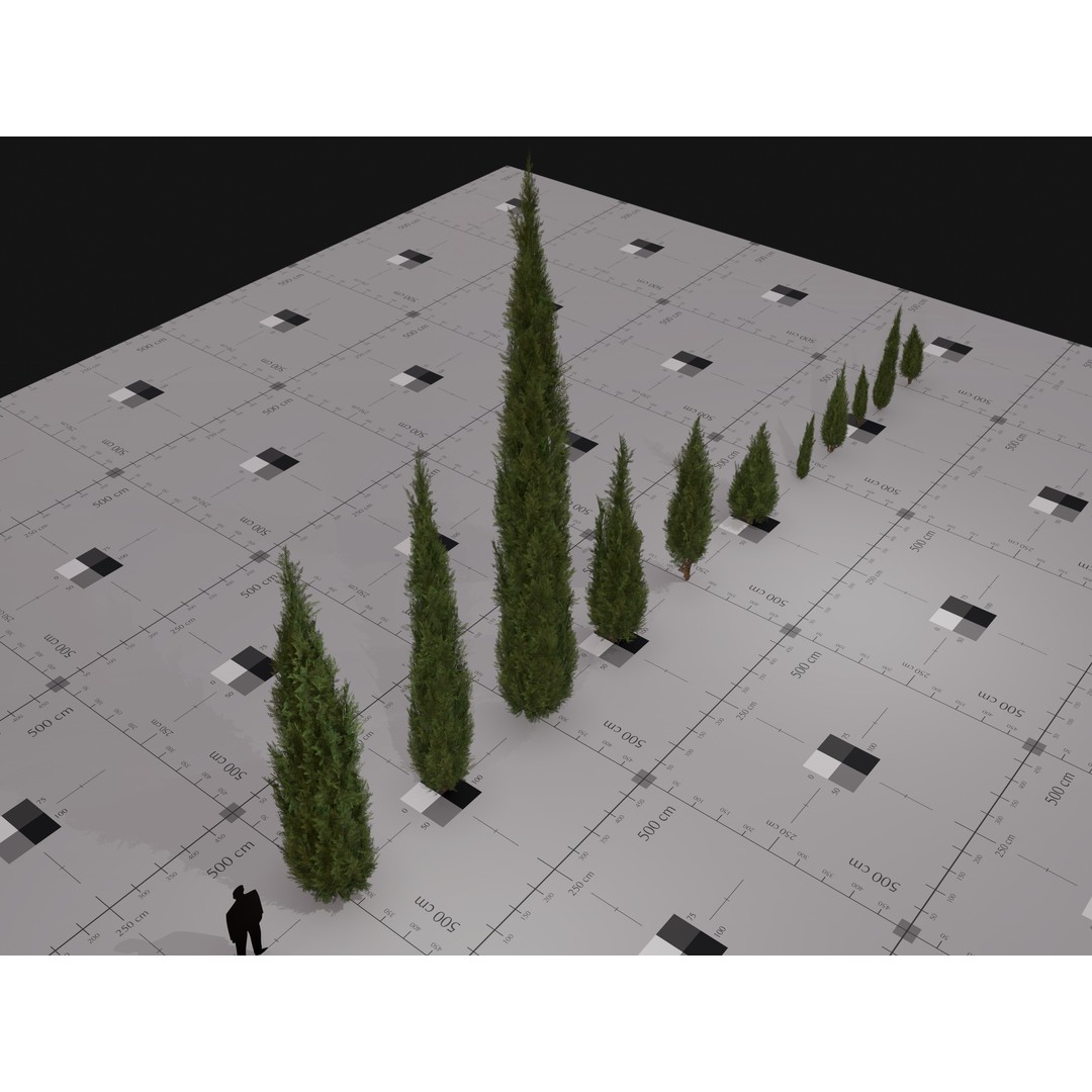 Italian Cypress 3D Model – Low Poly Game Asset, PBR, FBX, Unity - View 6