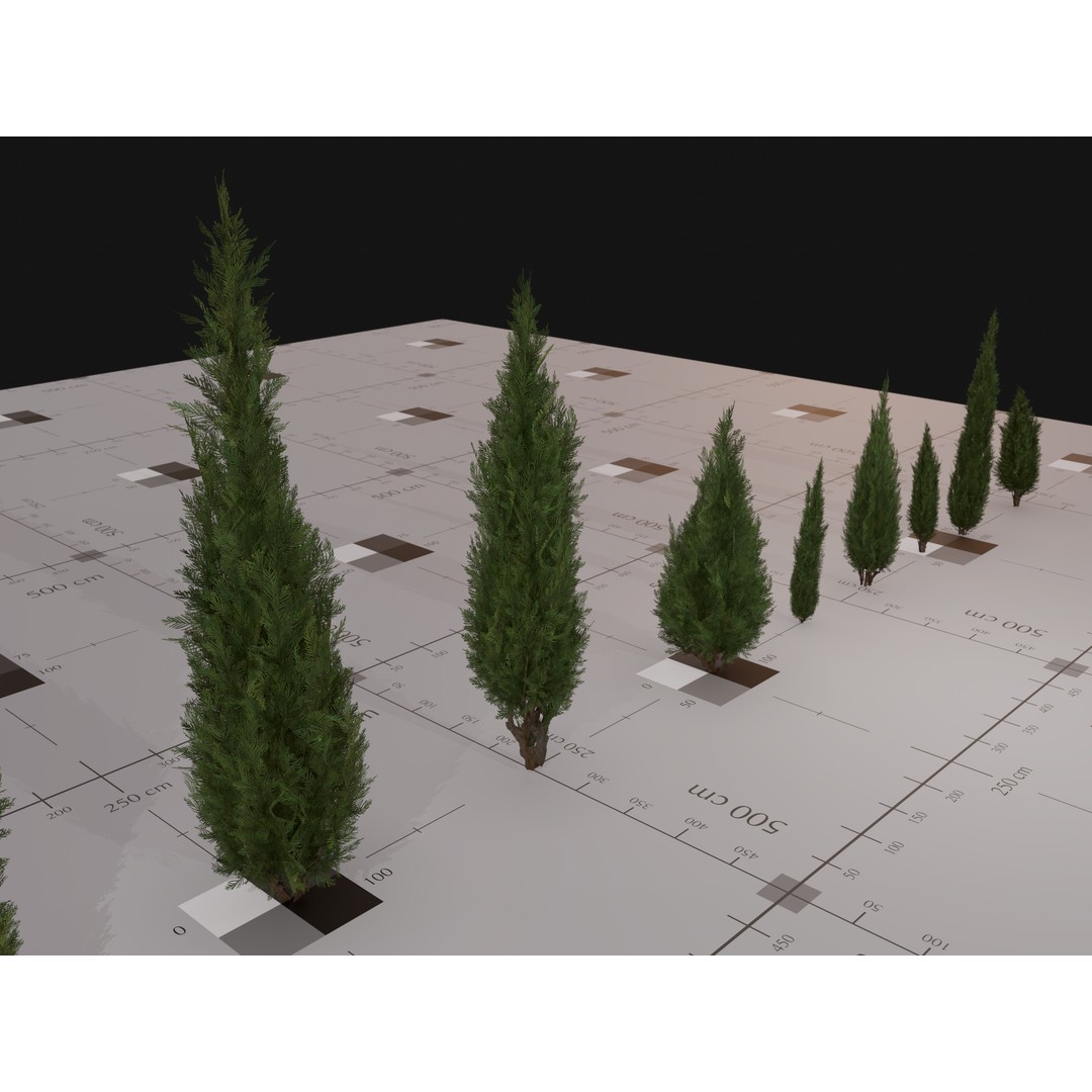 Italian Cypress 3D Model – Low Poly Game Asset, PBR, FBX, Unity - View 7