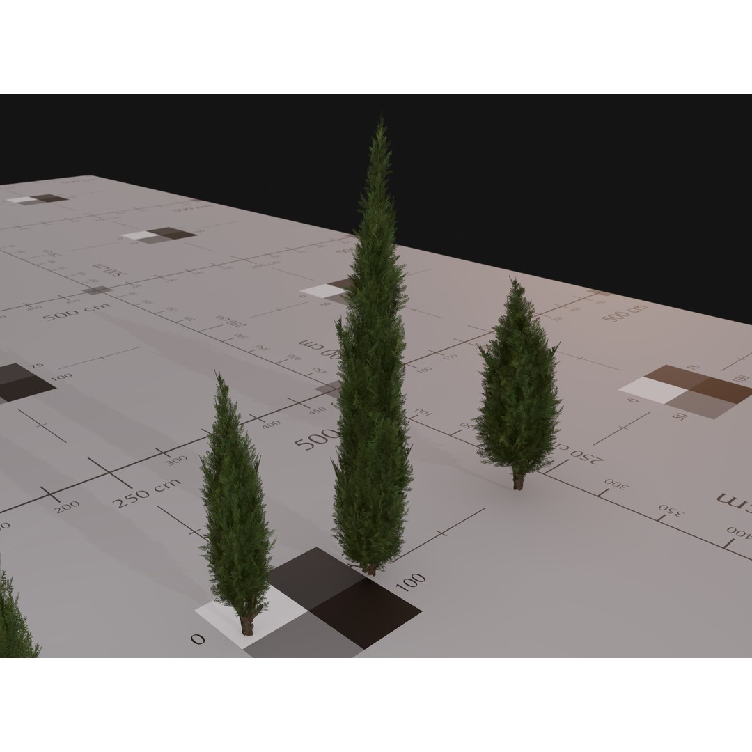 Italian Cypress 3D Model – Low Poly Game Asset, PBR, FBX, Unity - View 8