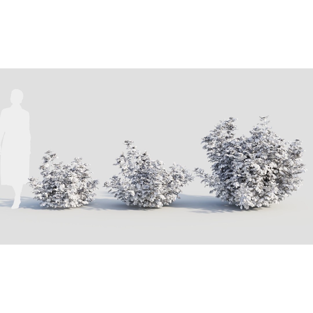 Rosa Rugosa 3D Model – PBR Plant Asset, FBX, OBJ, Blender - View 10