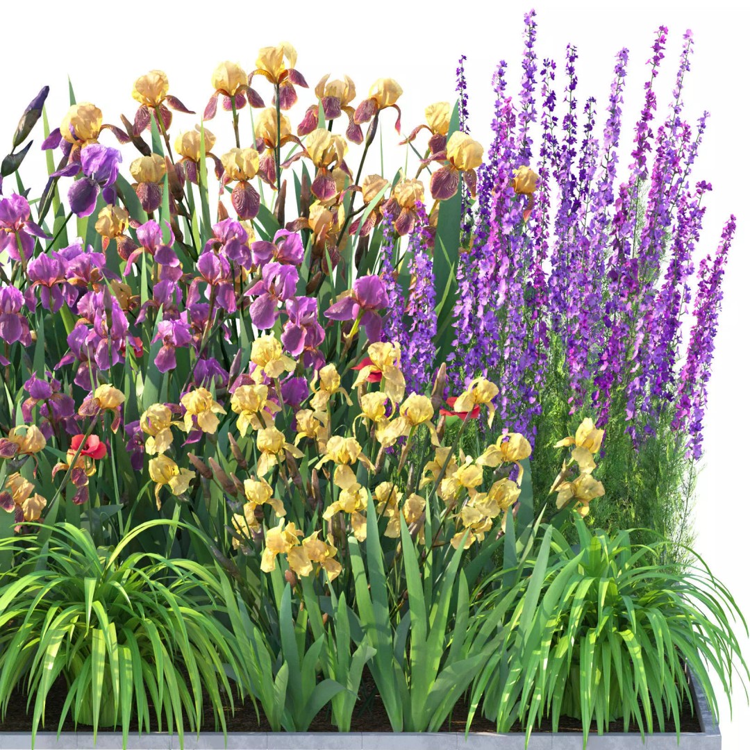 Flower Bed 3D Model – Rectangular Garden Asset with PBR Textures - View 8