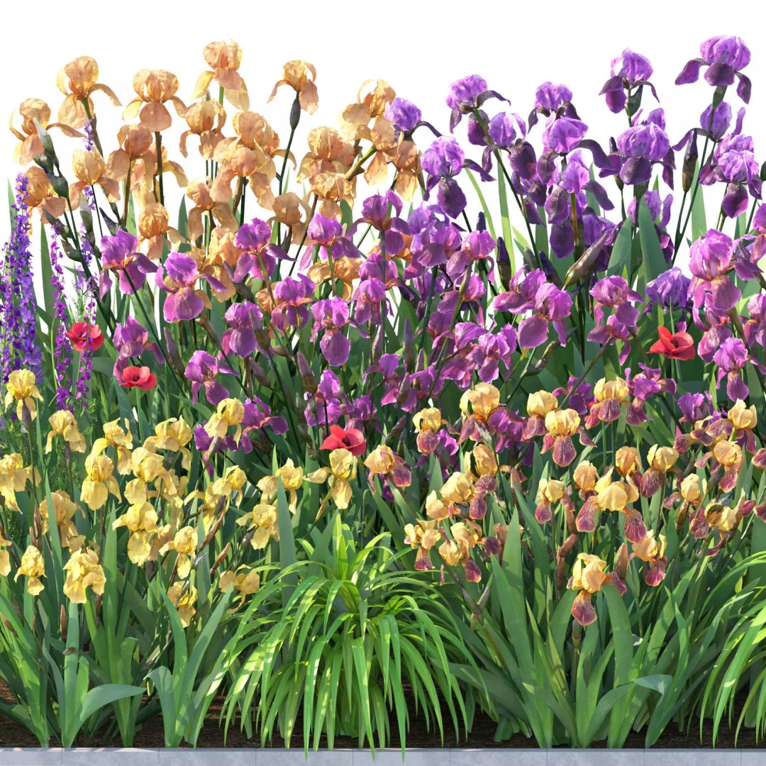 Flower Bed 3D Model – Rectangular Garden Asset with PBR Textures - View 9