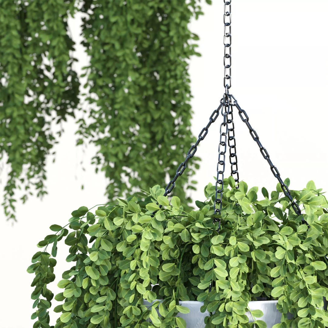 Hanging Plants 3D Model – Realistic Indoor & Outdoor Decor, FBX - View 3