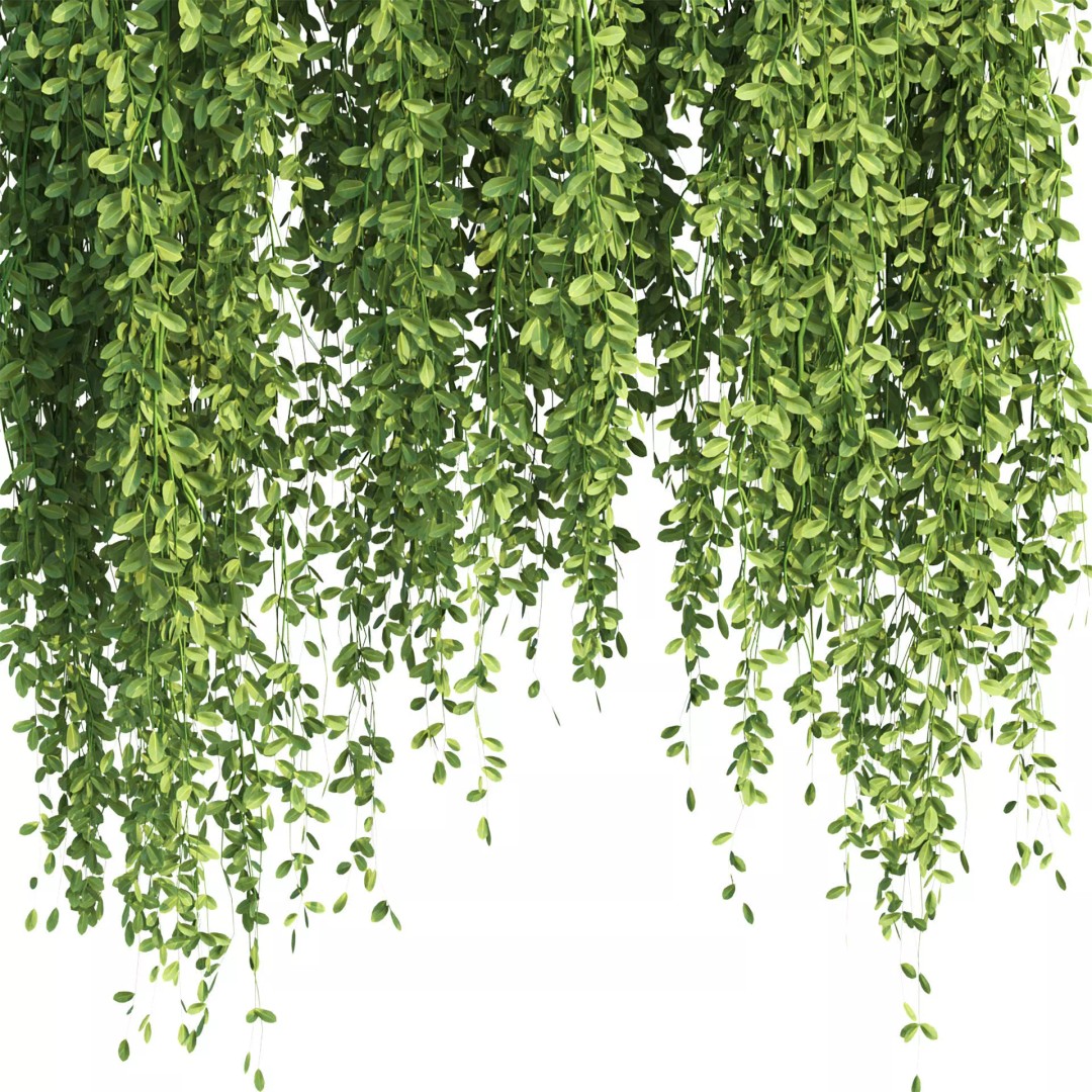 Hanging Plants 3D Model – Realistic Indoor & Outdoor Decor, FBX - View 7